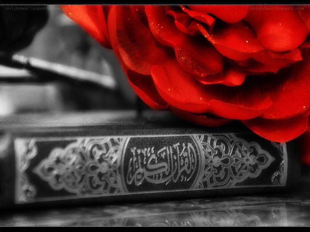 Quran with red rose