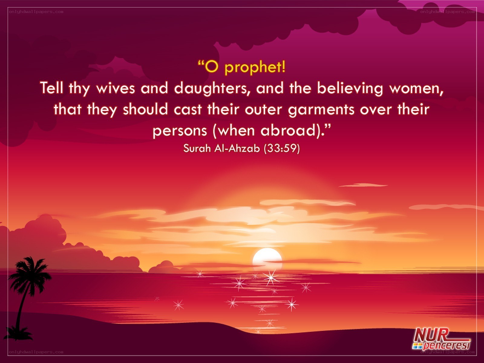 Quranic verse on modesty