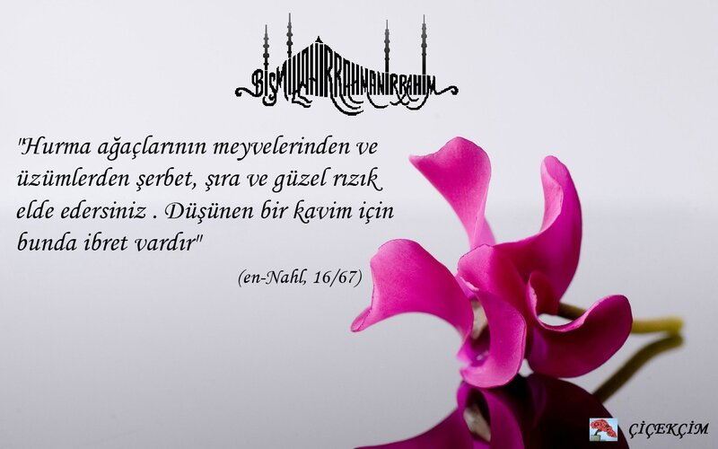 Quranic verse with flower