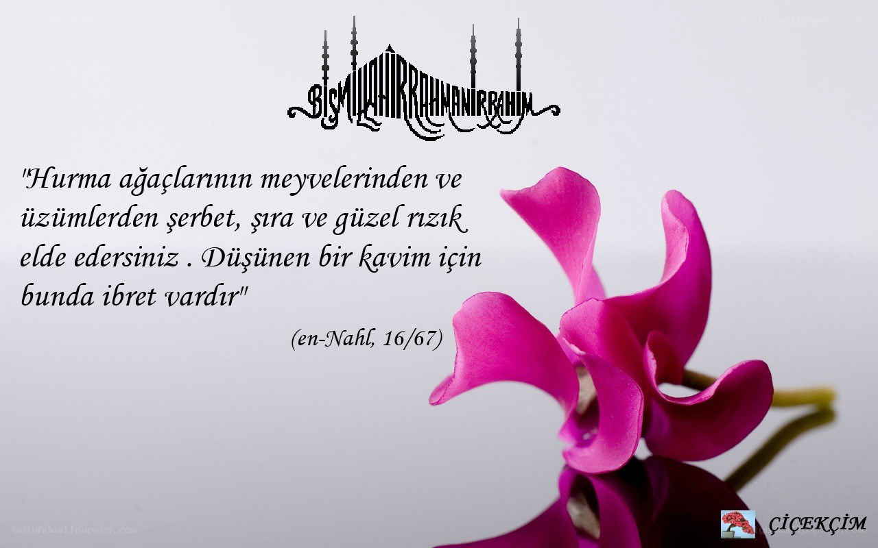 Quranic verse with flower
