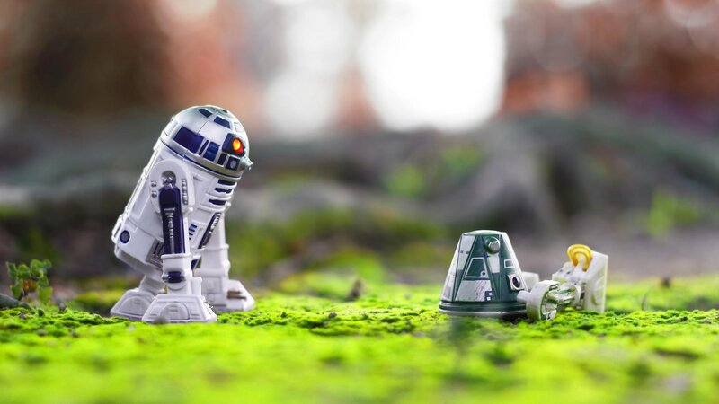 R2-D2 and Droid on Moss — Green