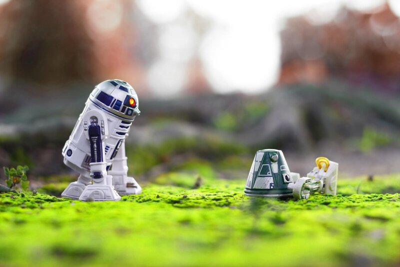 R2-D2 and Droid on Moss