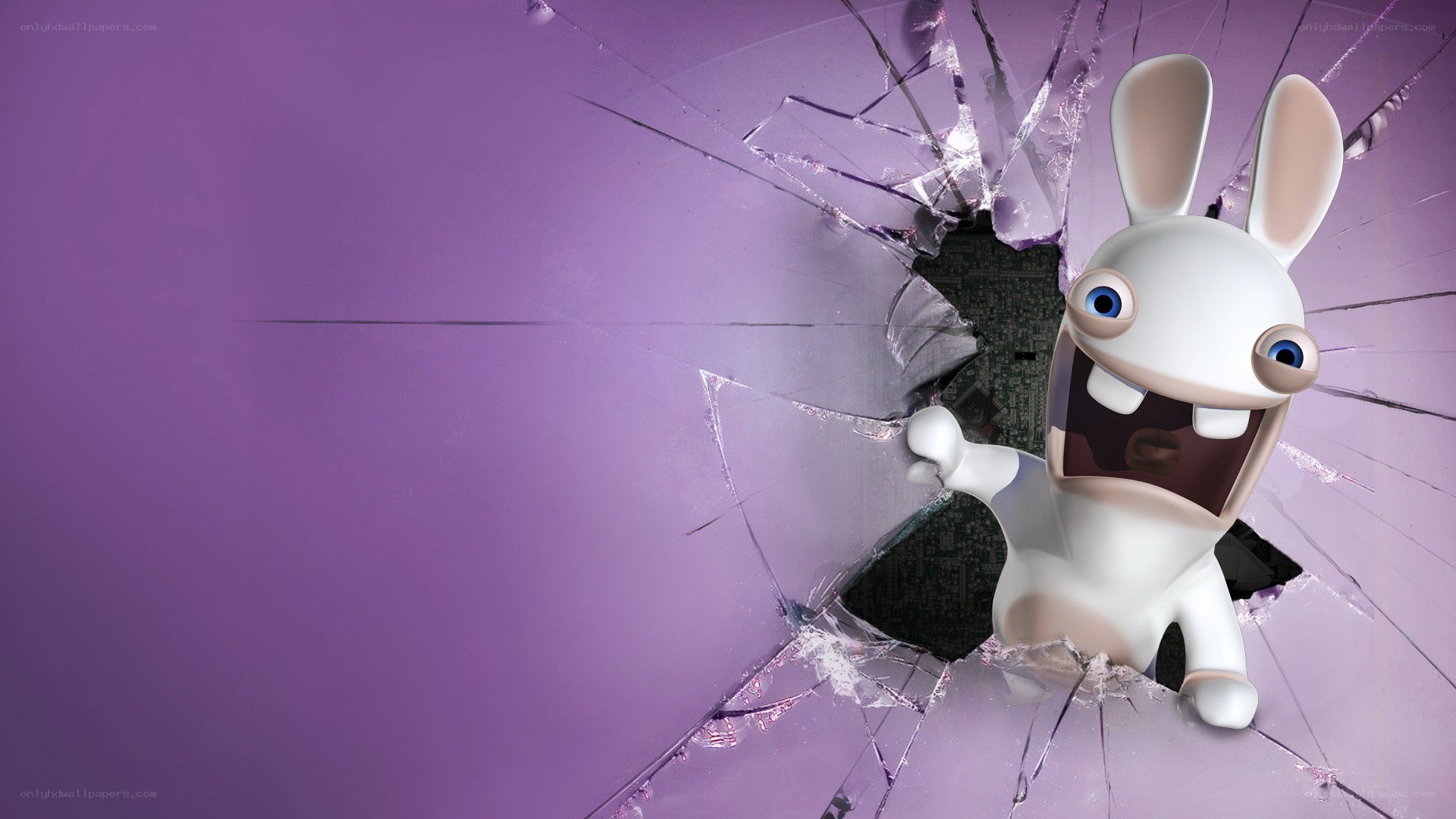Rabbid breaking through glass