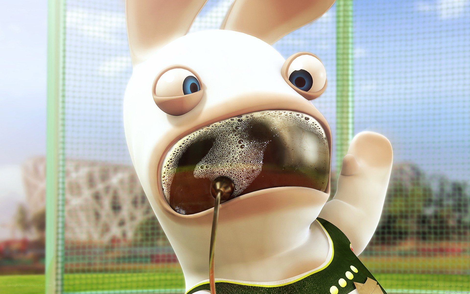 Rabbid drinking soda