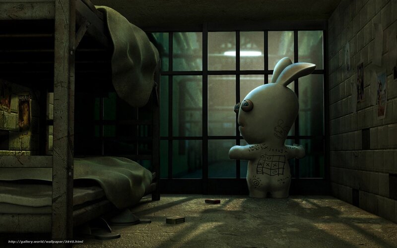 Rabbid in a prison cell