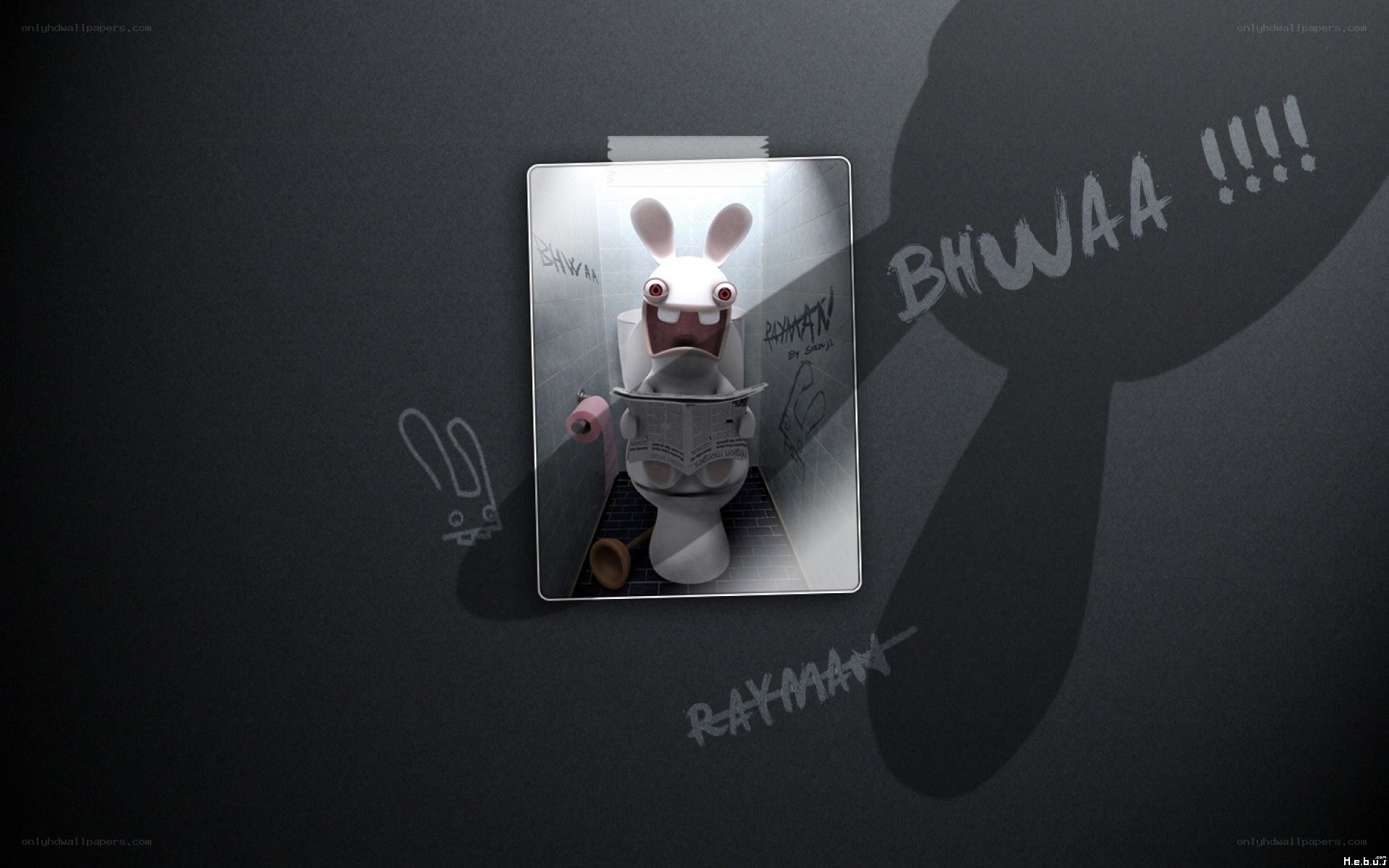 Rabbid in the bathroom