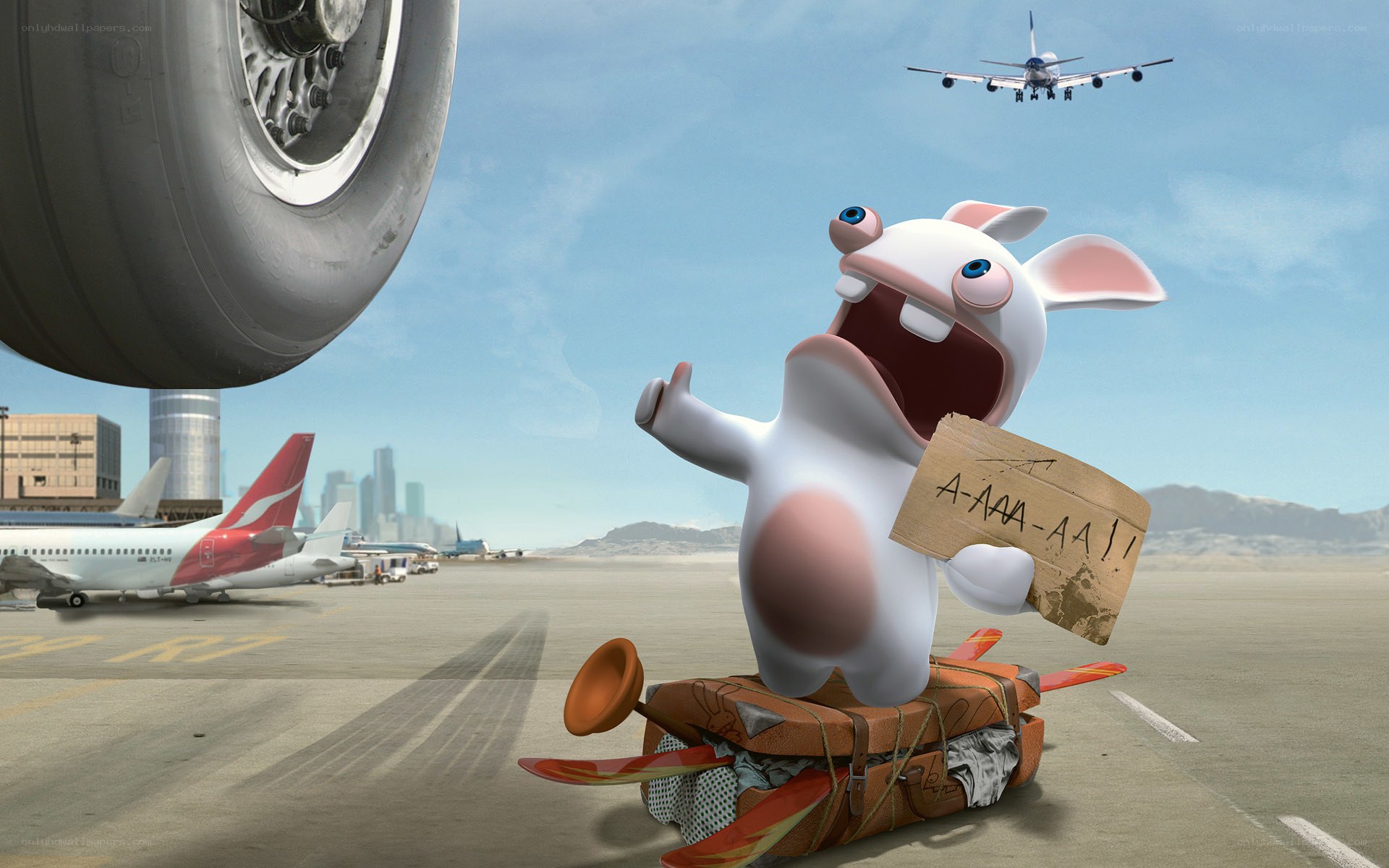 Rabbid on a suitcase