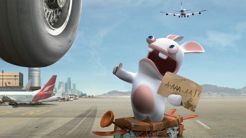 Rabbid on airport tarmac