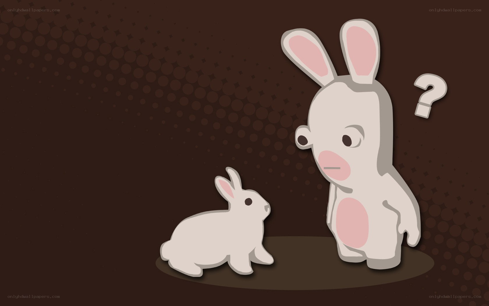 Rabbids confused by bunny