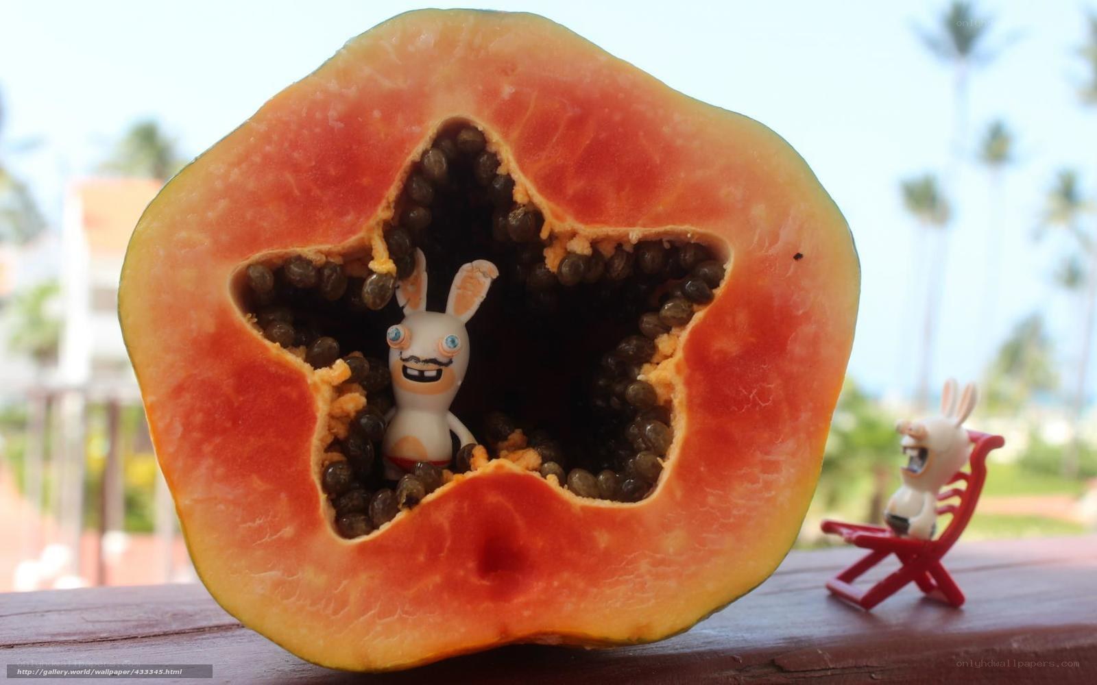 Rabbids in papaya fruit