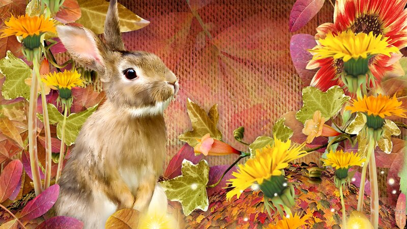 Rabbit Among Flowers — Yellow