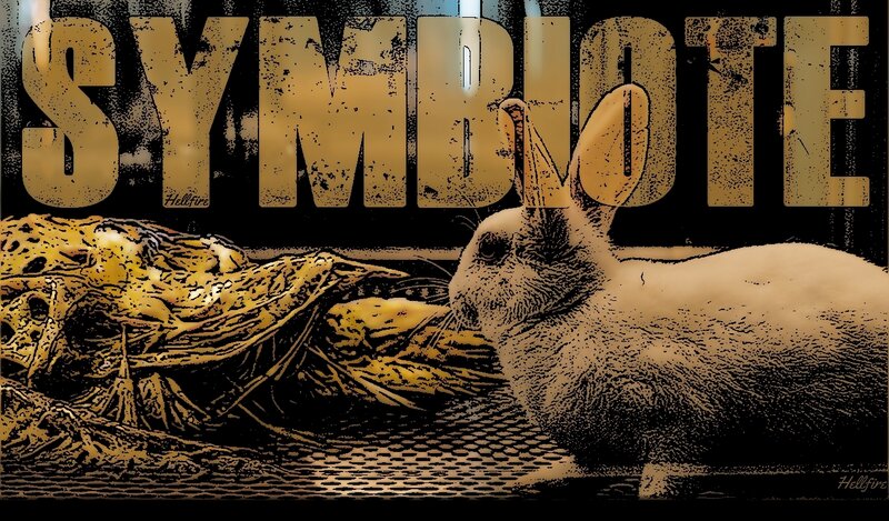 Rabbit and Decaying Creature