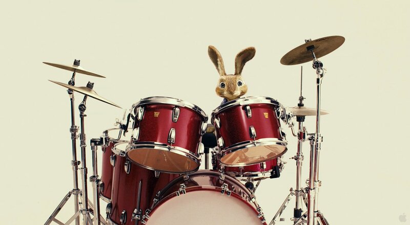 Rabbit Behind Drums
