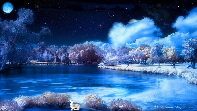 Rabbit by a Lake