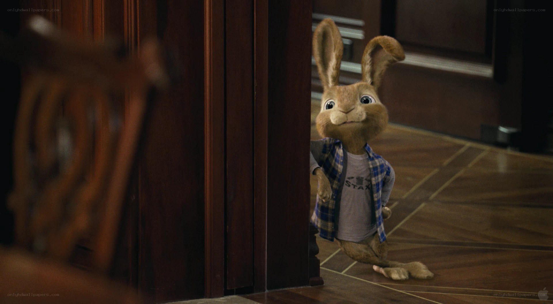 rabbit character peeking from doorway