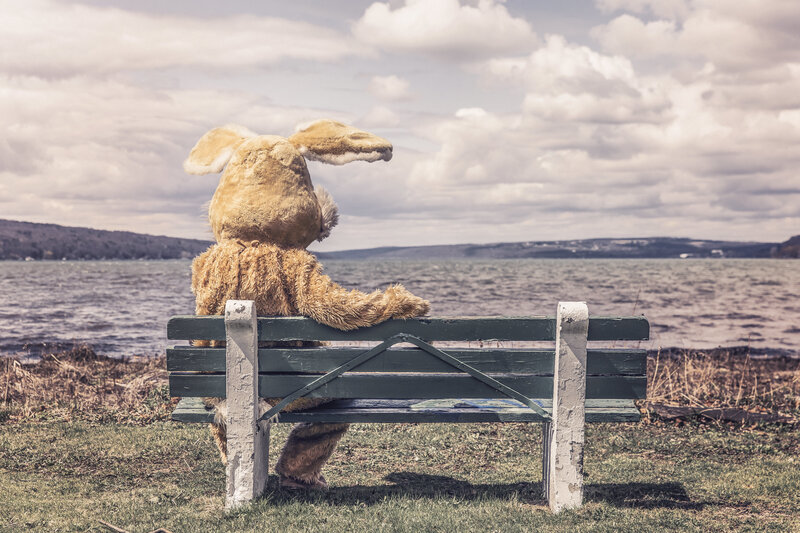 rabbit costume on bench