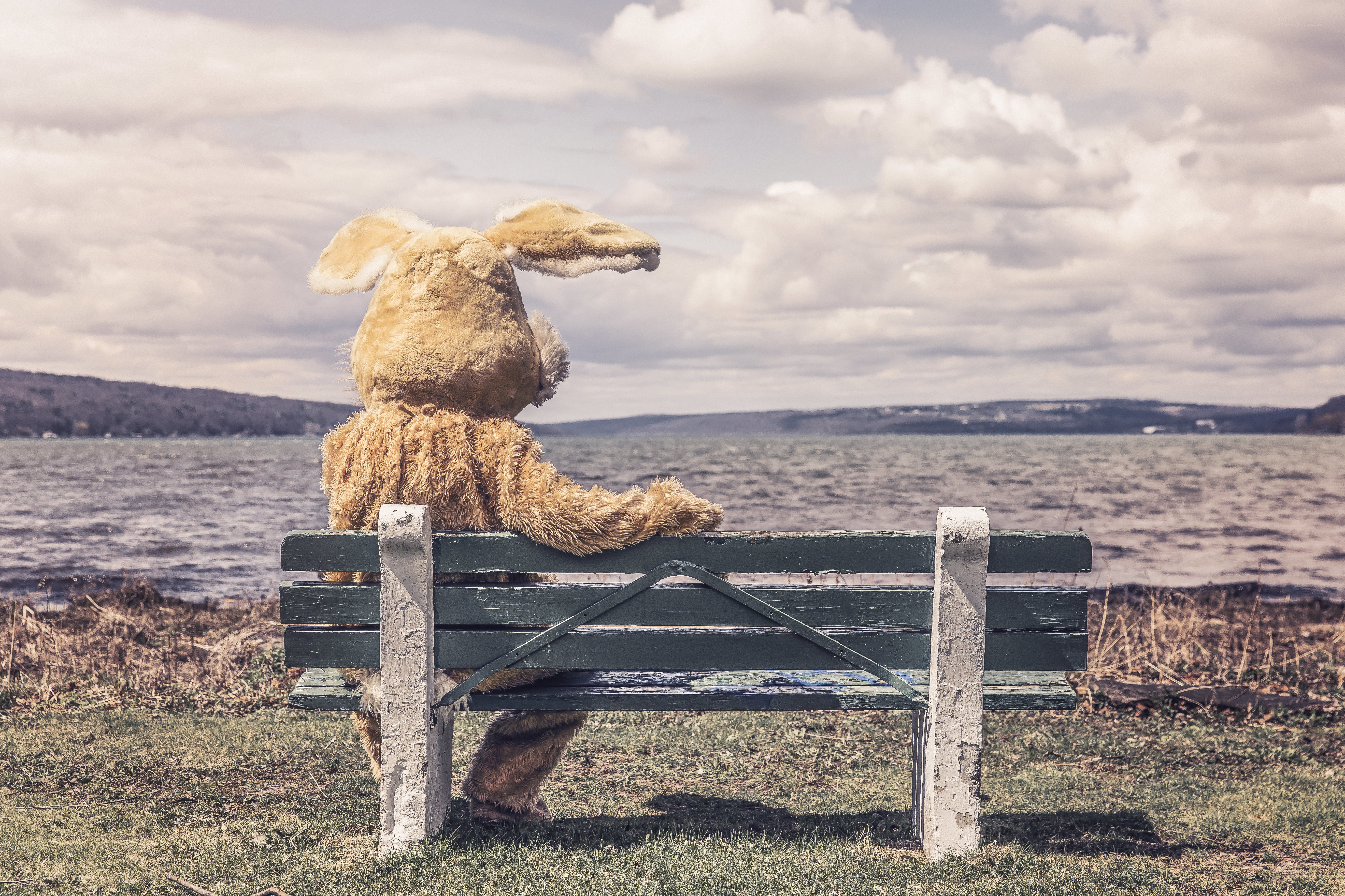 rabbit costume on bench