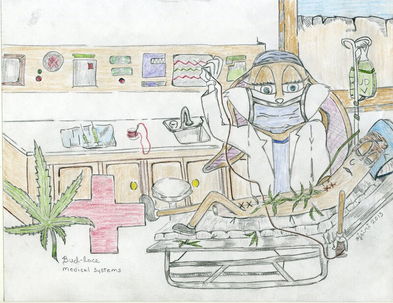 Rabbit Doctor in Clinic