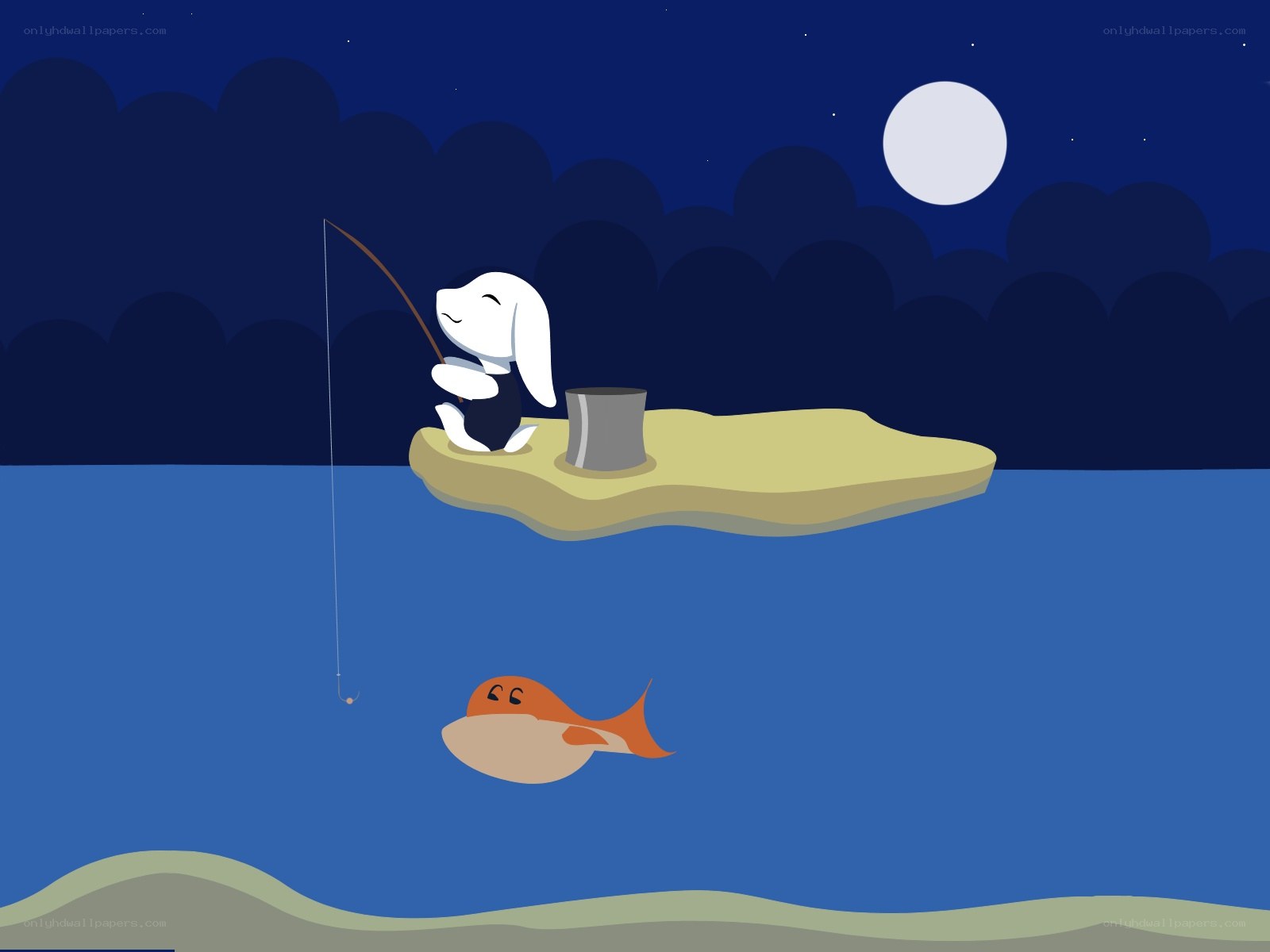rabbit fishing at night