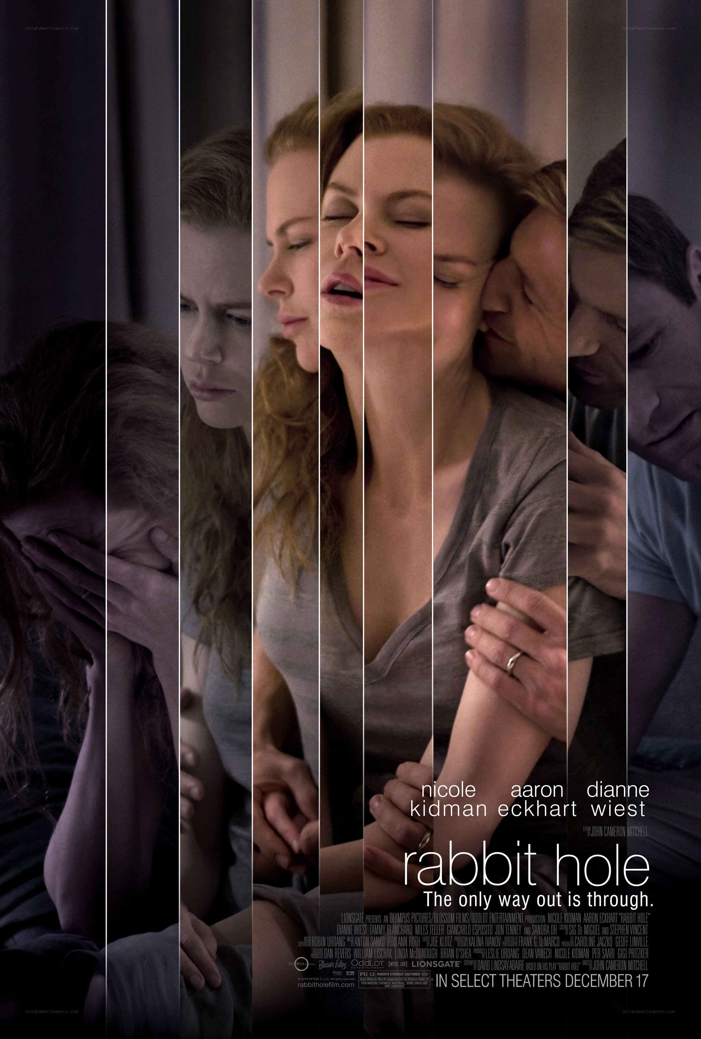 rabbit hole movie poster