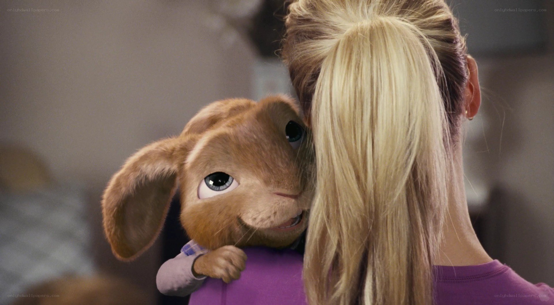 rabbit hugging woman