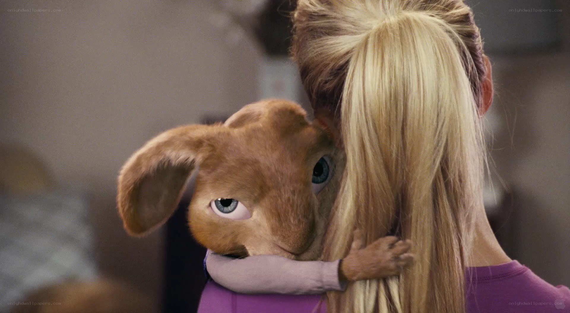rabbit hugging woman