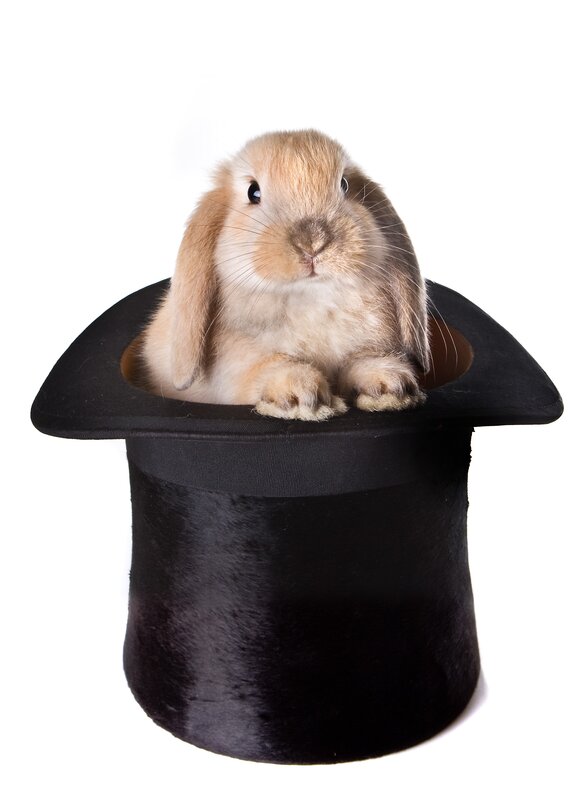 rabbit in a top hat