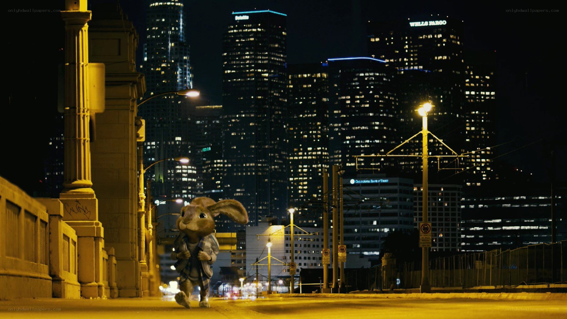 rabbit in city at night