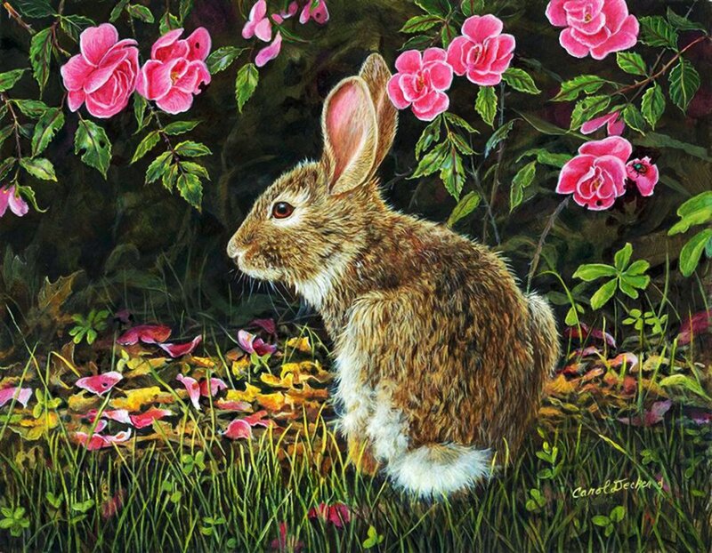 Rabbit in Flowers