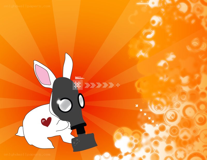 rabbit in gas mask