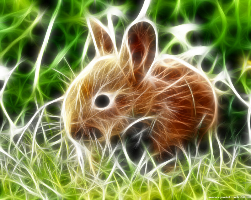 Rabbit in Grass — Green, Vibrant