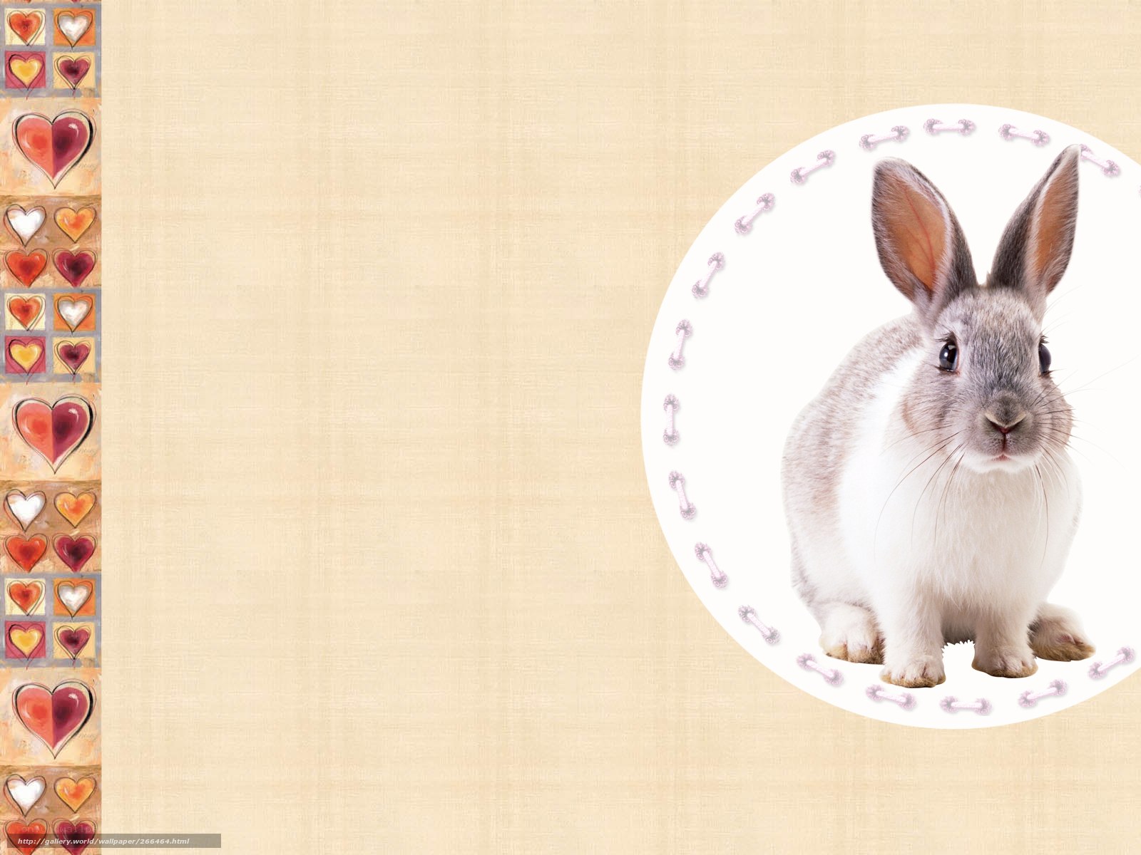 rabbit in heart-themed frame