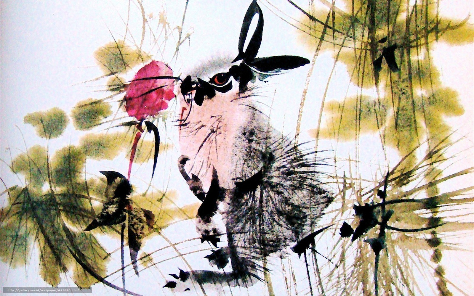 rabbit in lotus pond