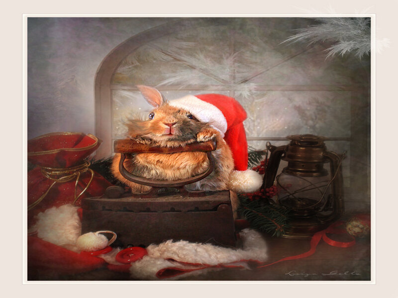 Rabbit in Santa Hat — Red