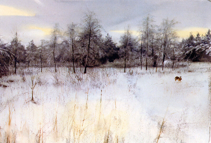 Rabbit in Snow — White