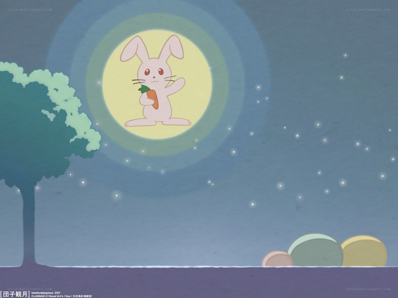 Rabbit in the moon