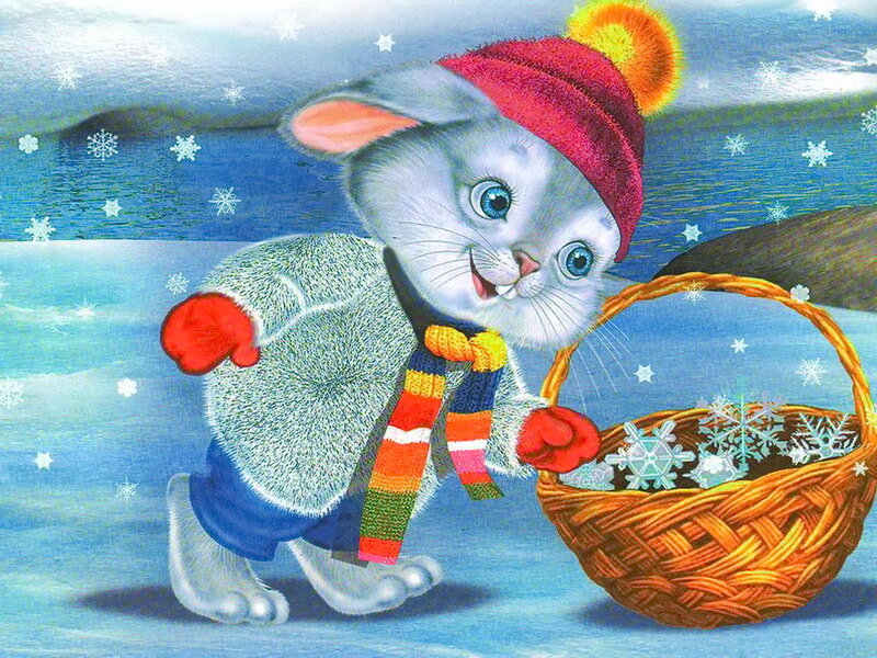 Rabbit in Winter Clothes