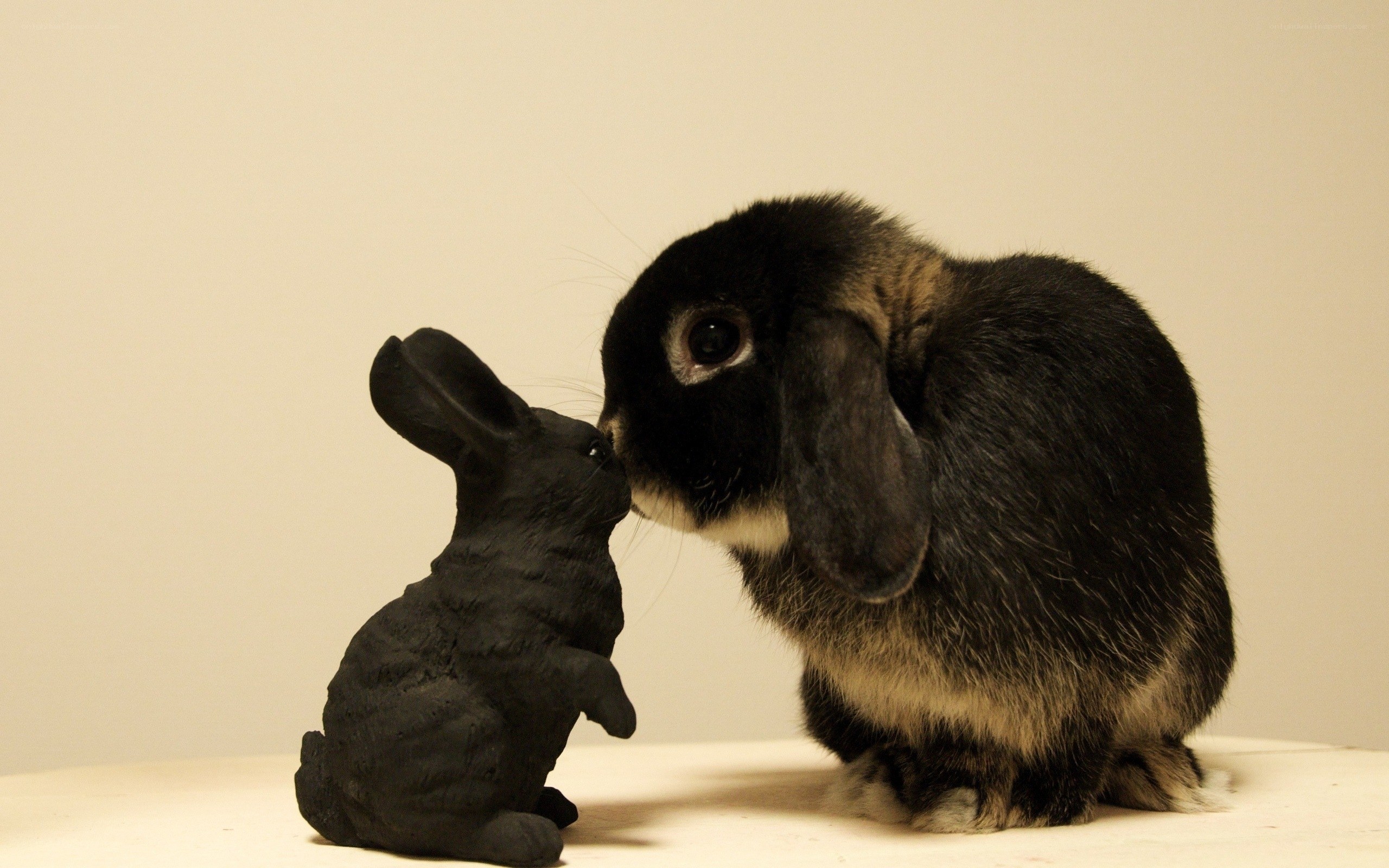 rabbit nuzzles statue