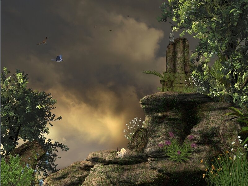 Rabbit on a Rock