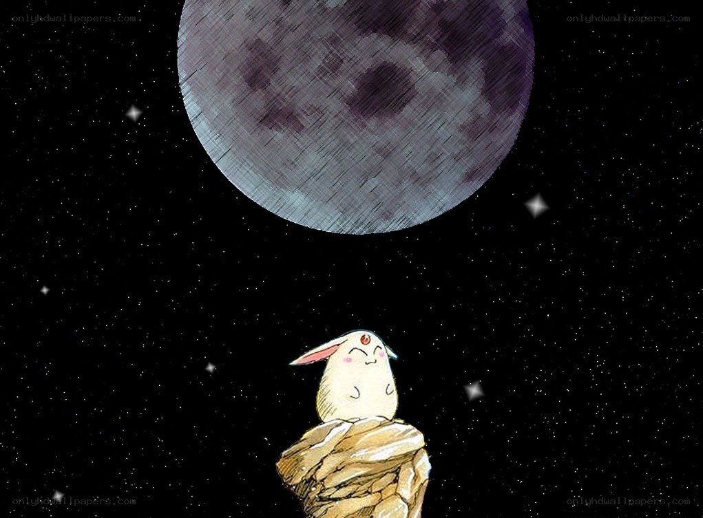 rabbit on a rock under the moon