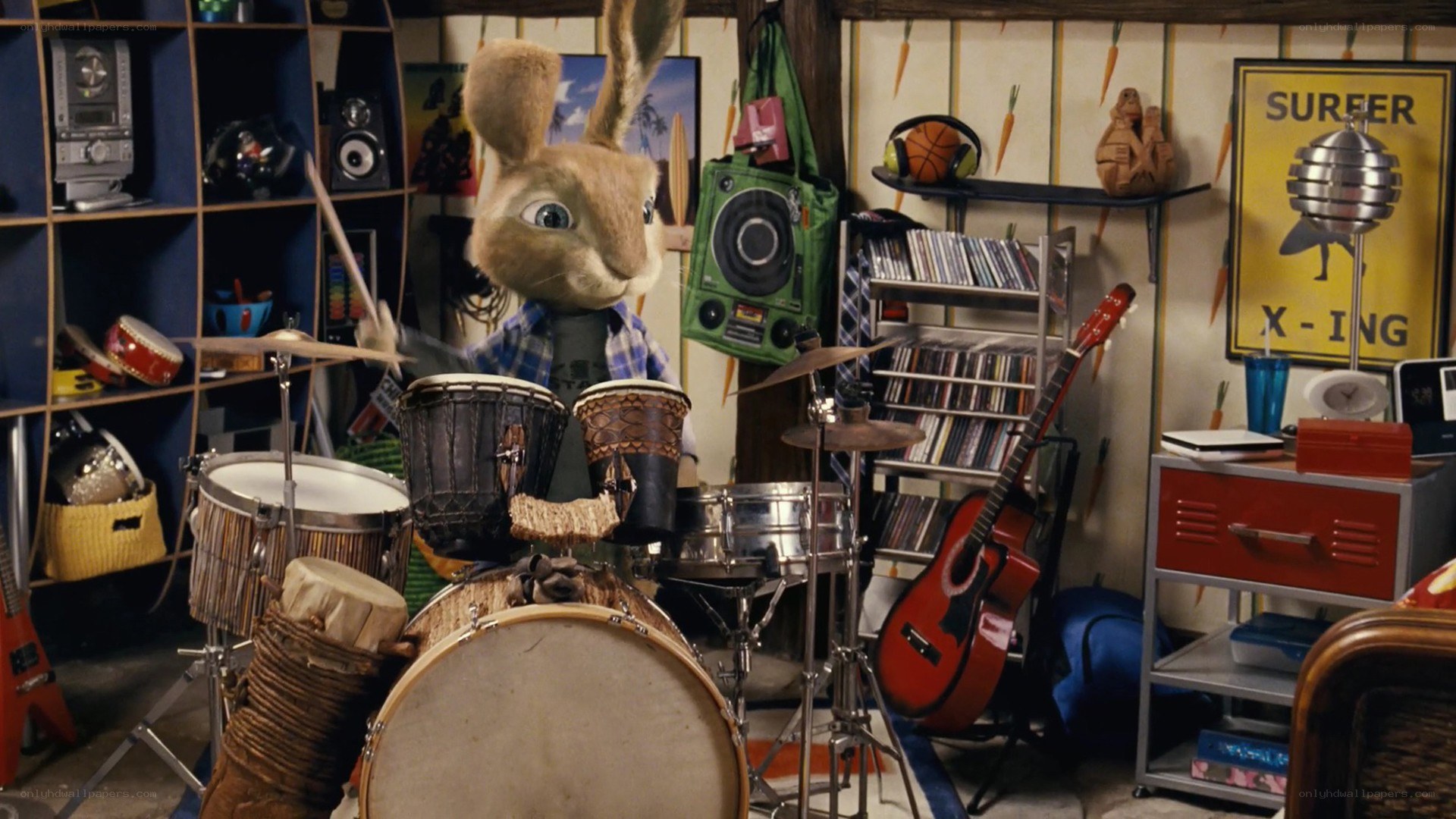 rabbit playing drums in room
