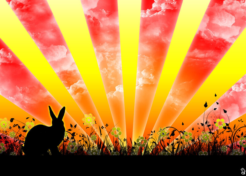 rabbit silhouette at sunset