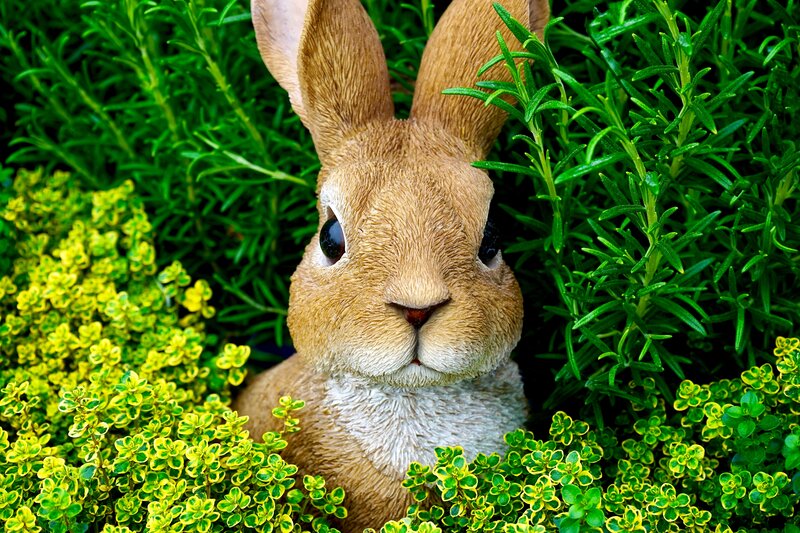 Rabbit Statue in Plants