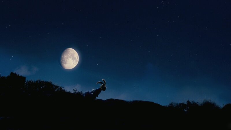 rabbit under the moon