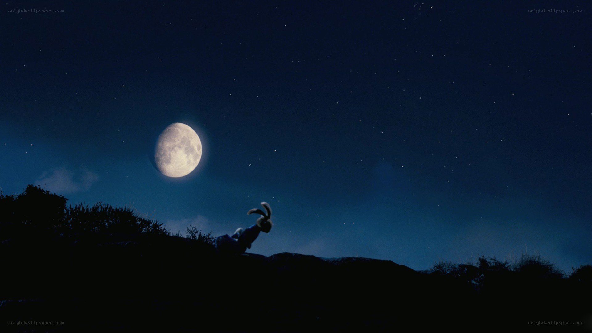 rabbit under the moon