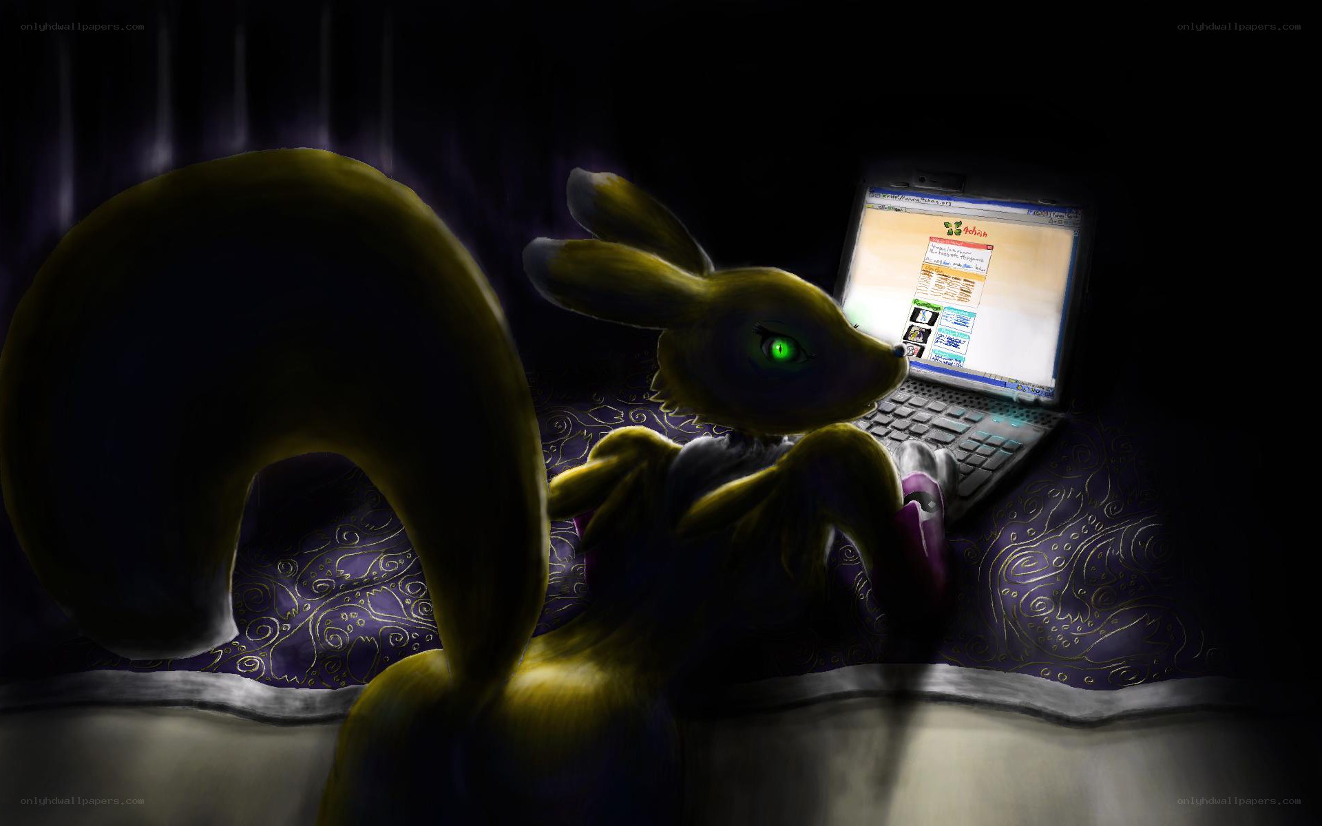 rabbit using laptop at night