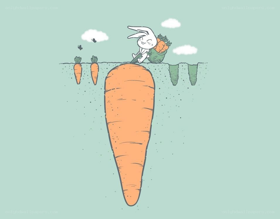 rabbit with giant carrot