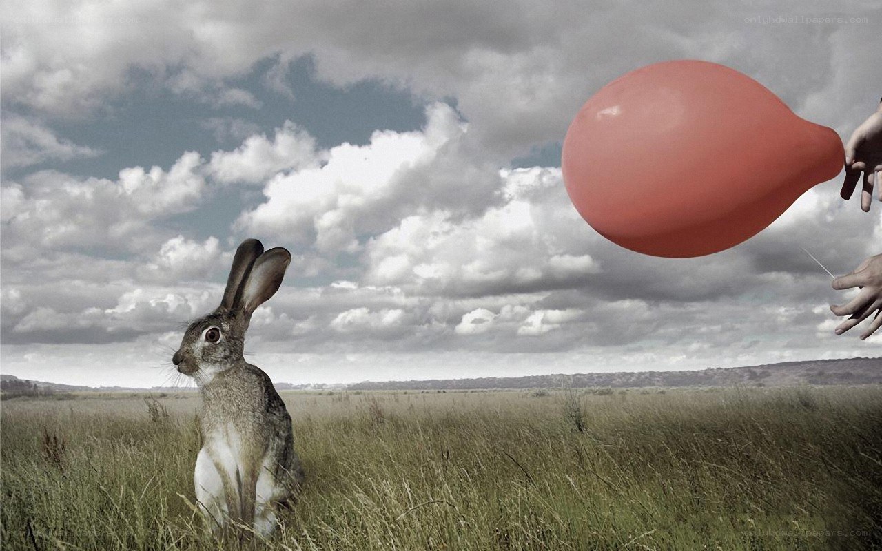 rabbit with red balloon