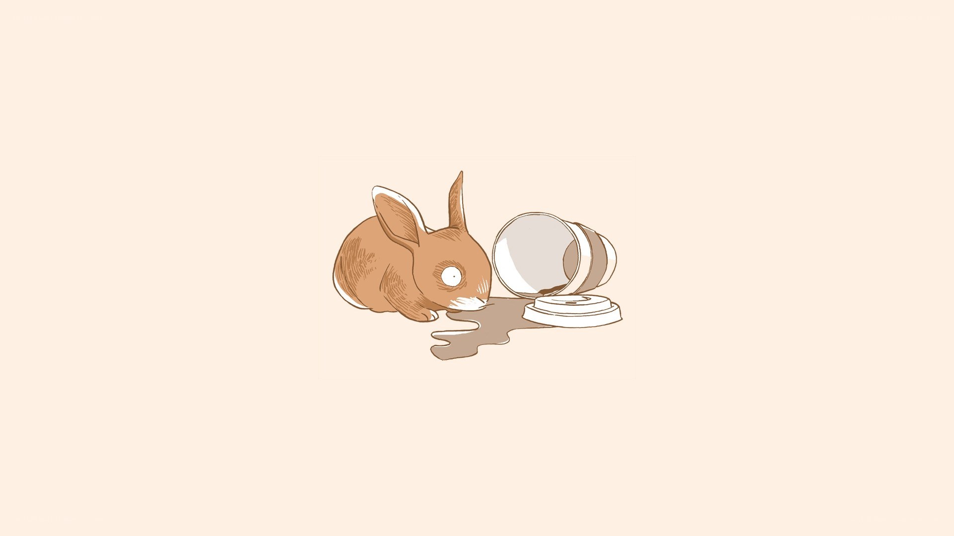 rabbit with spilled cup