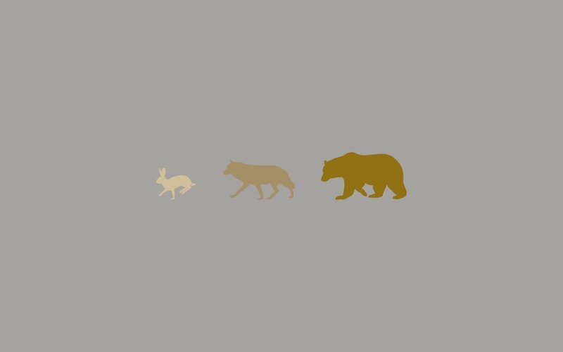 Rabbit Wolf Bear